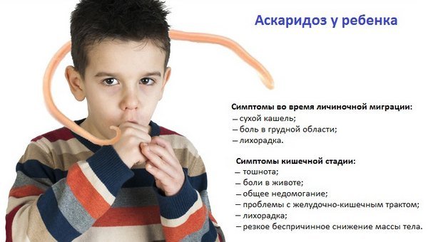 Аскаридоз у детей - симптомы и лечение, фото и видео. 