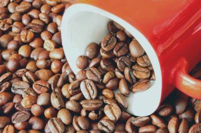 Медики назвали смертельную дозу кофе