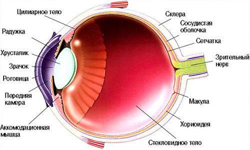 Дистрофия сетчатки глаза - симптомы и лечение, фото и видео. 