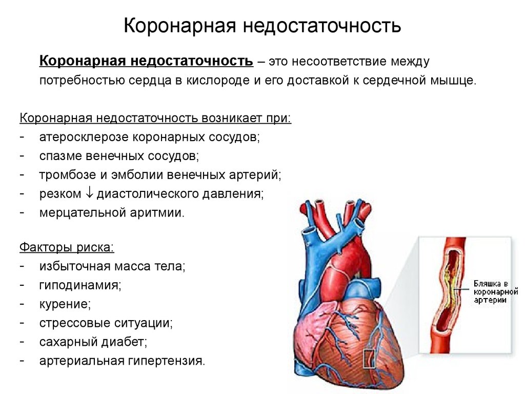 Признаки сердечной деятельности