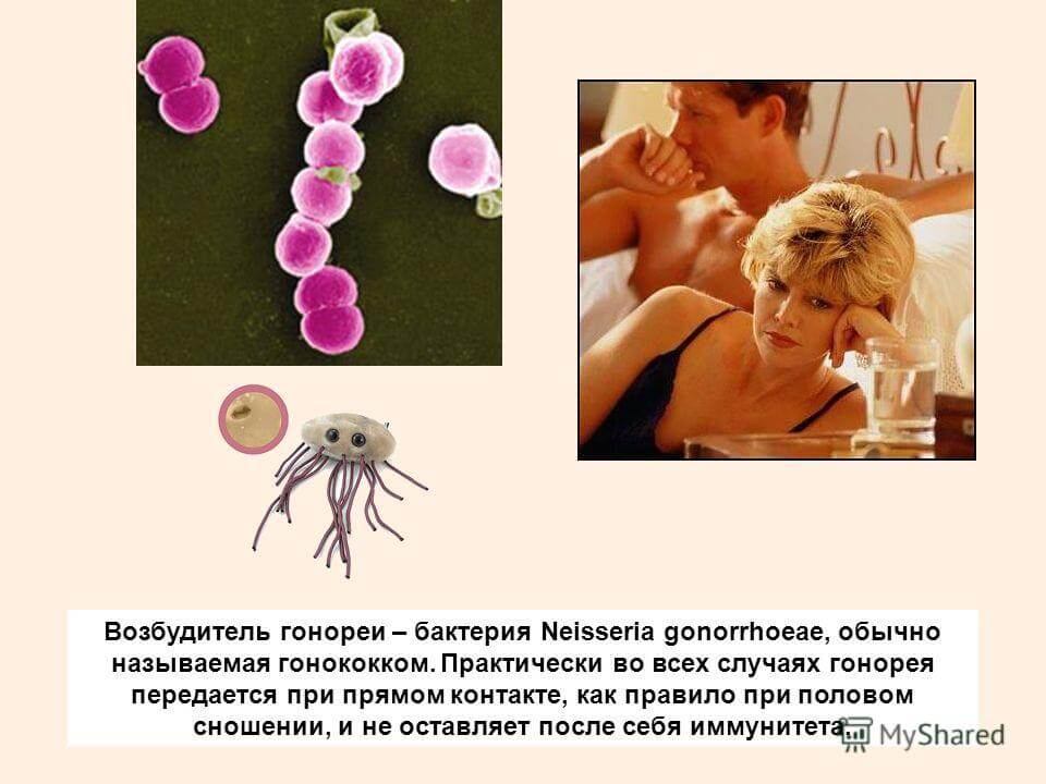 Микроорганизмы женских половых органов. Половые инфекции гонорея. Половой путь заражения. Симптомы заболевания гонореи.