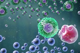 Иммунотерапия рака — моноклональные антитела