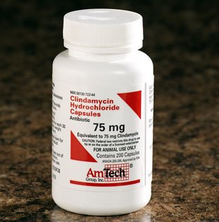 Клиндамицин — инструкция по применению, цена