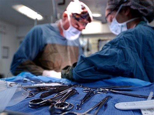 Хирурги в операционных ведут себя, как любые другие приматы