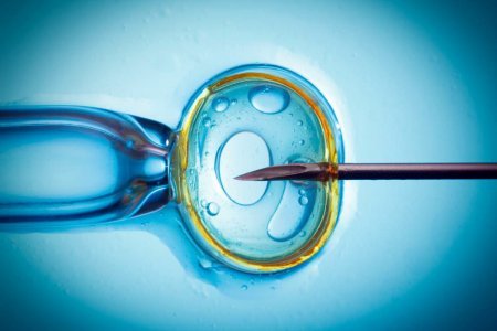 Искусственный интеллект может выбирать эмбрионы для ЭКО