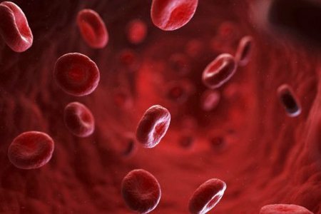 Ученые определили самую опасную для здоровья группу крови. 