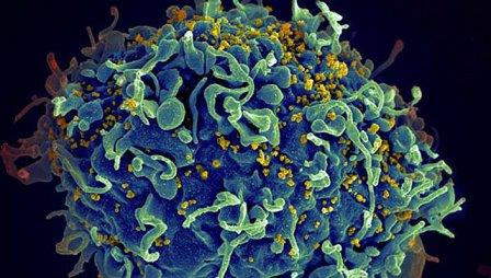 Генетики создали молекулу, очищающую организм от «спящего» ВИЧ